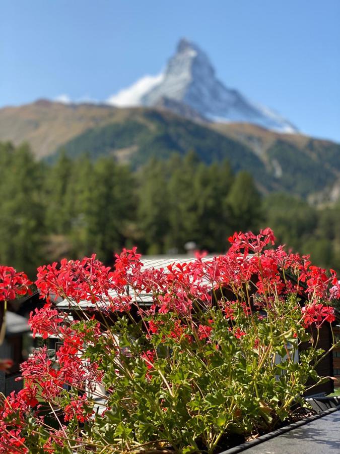 Chalet Bull Zermatt Eksteriør billede